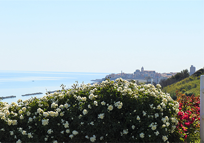 matrimoni molise